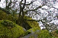 DSC_0190a.jpg