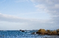 DSC_0479a.jpg